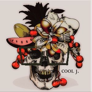 Original Cool J. Print www.wearcoolj.com